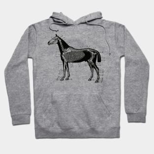 Horse Skeleton Drawing Hoodie